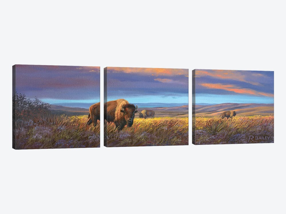 Bison Sunset by Rod Bailey 3-piece Canvas Artwork