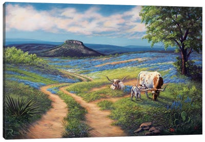 Bluebonnet Life Canvas Art Print - Cow Art