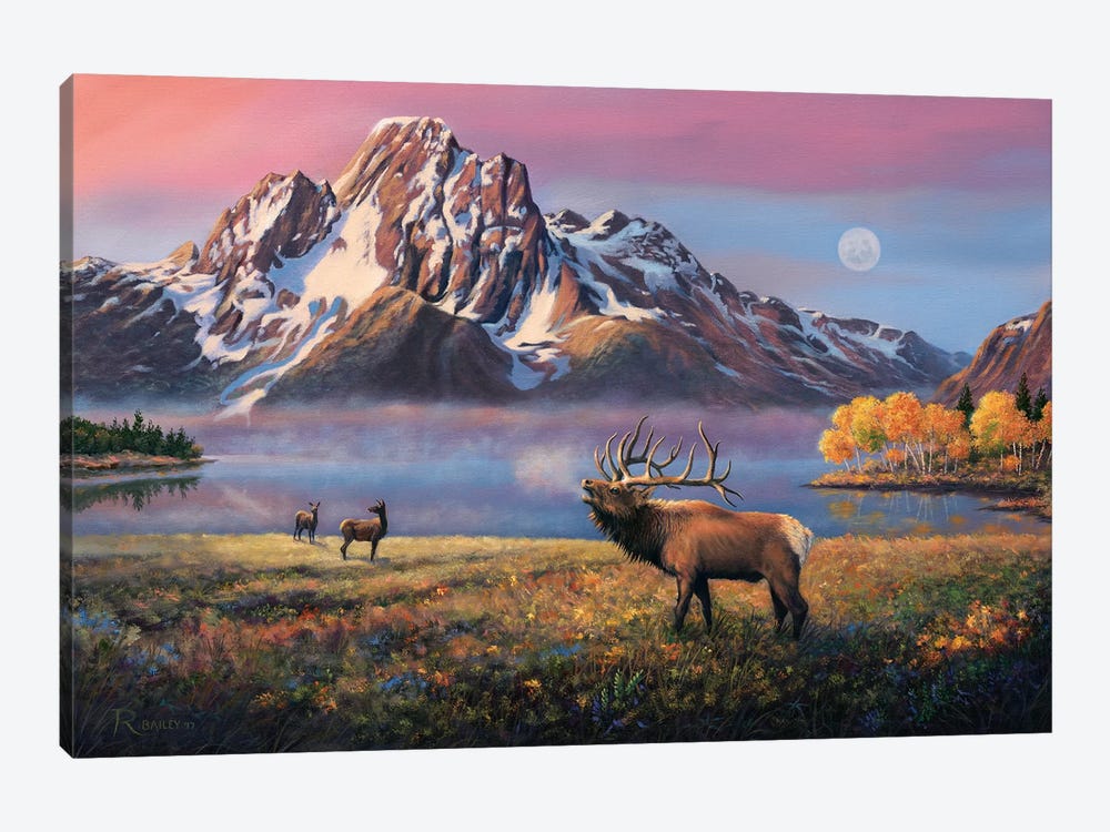 Courting Mt Moran by Rod Bailey 1-piece Canvas Art