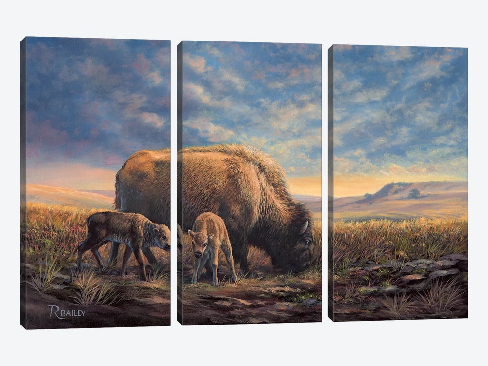 Dining Out by Rod Bailey 3-piece Canvas Print