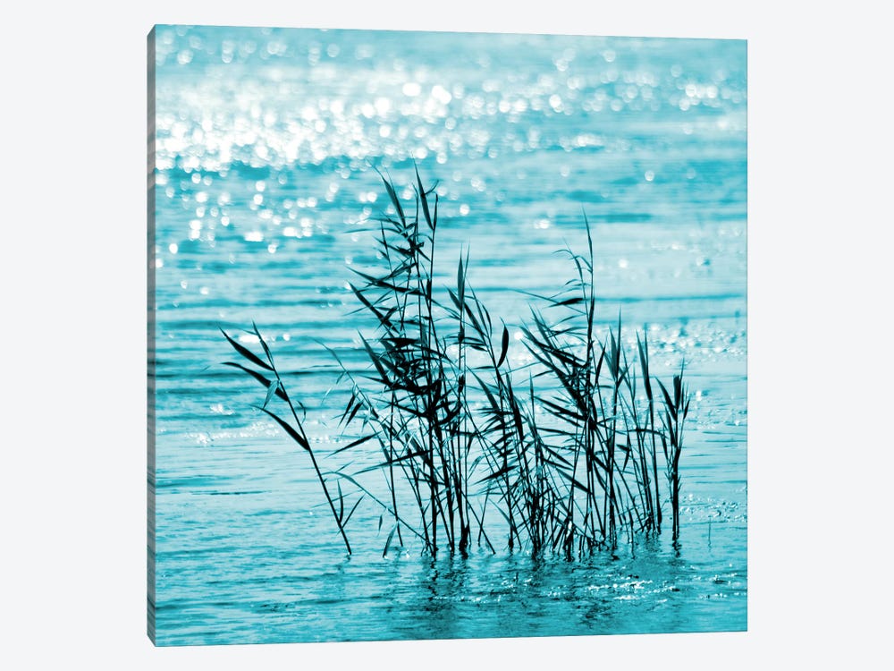 Cool Water by Ros Berryman 1-piece Canvas Artwork