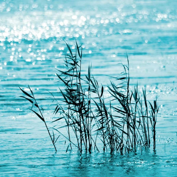 Water Close-Ups: Cool Water by Ros Berryman