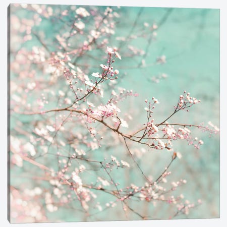 Spring Blossom Canvas Artwork by Ros Berryman | iCanvas
