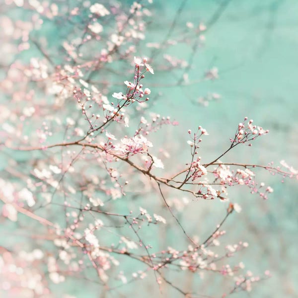 Artists Like Van Gogh: Early Spring Time by Ros Berryman