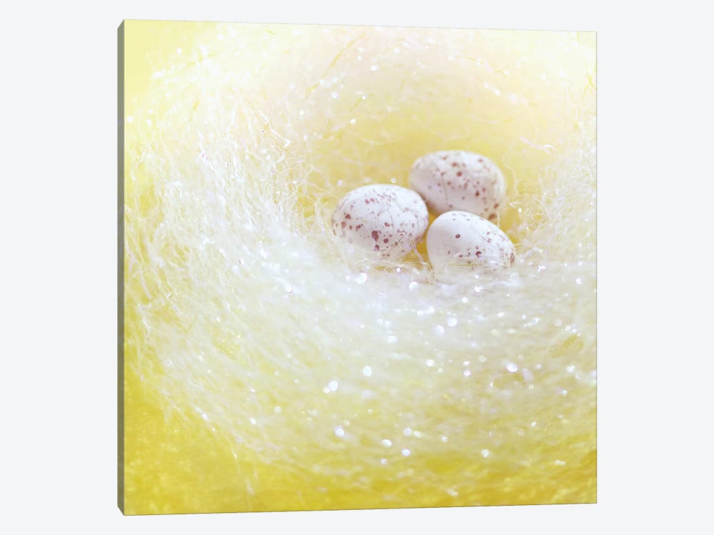 Easter Nest by Ros Berryman 1-piece Canvas Wall Art