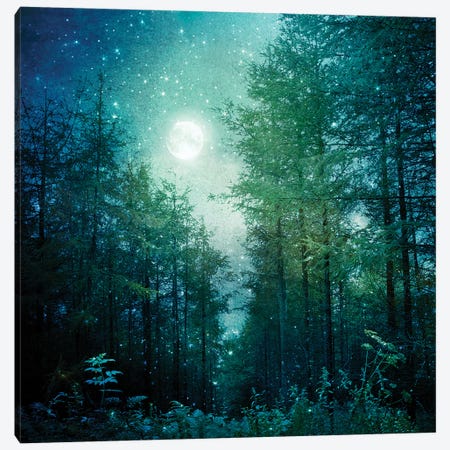 Enchanted Forest Canvas Print #RBM22} by Ros Berryman Canvas Art Print