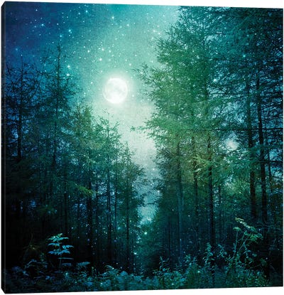 Enchanted Forest Canvas Art Print - Composite Photography