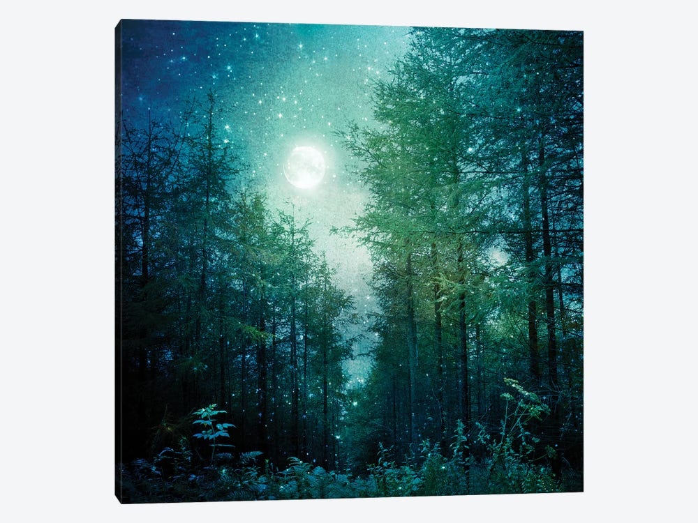 Enchanted Forest by Ros Berryman 1-piece Canvas Artwork