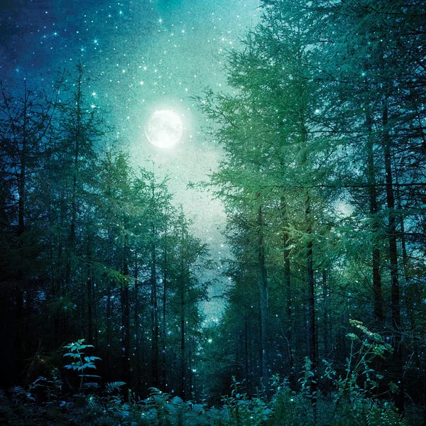 Composite Photography: Enchanted Forest by Ros Berryman
