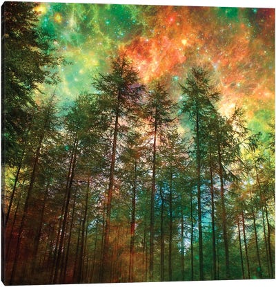 Fiery Forest Canvas Art Print