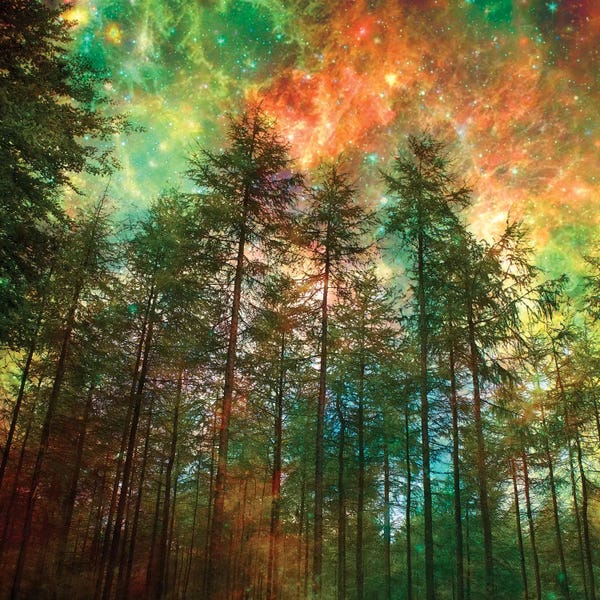 Composite Photography: Fiery Forest by Ros Berryman