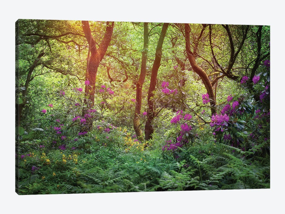 Forest Flowers by Ros Berryman 1-piece Canvas Print