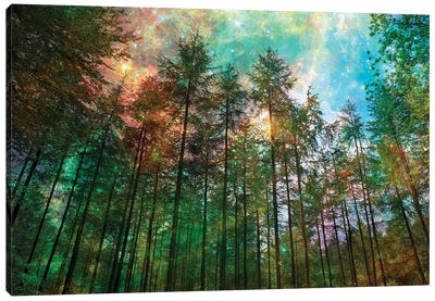 Forest Glow Canvas Art Print - Ros Berryman