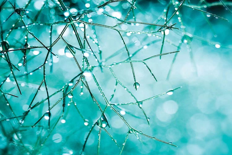 Melting by Ros Berryman wall art