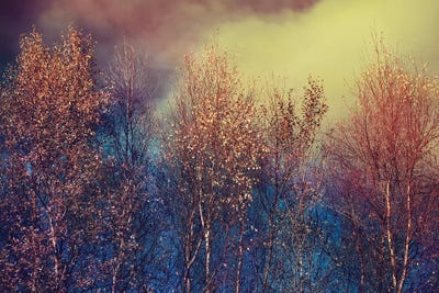 Natures Changing Moods by Ros Berryman framed canvas print