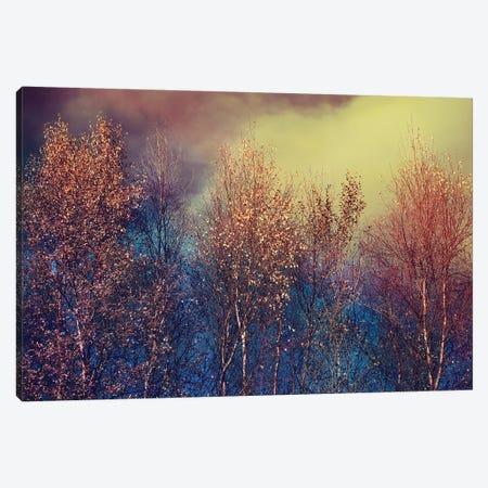 Natures Changing Moods Canvas Print #RBM35} by Ros Berryman Canvas Art Print