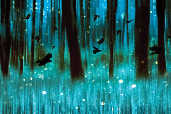 Composite Photography: Night Flight Panoramic by Ros Berryman