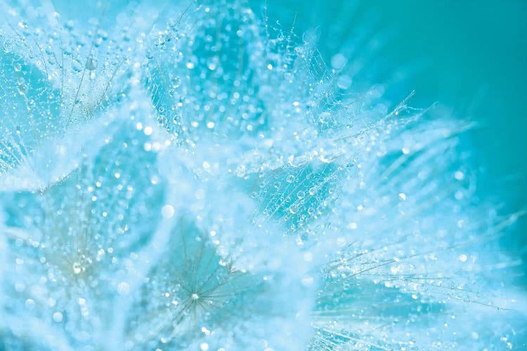 Aqua Sparkles by Ros Berryman wall art