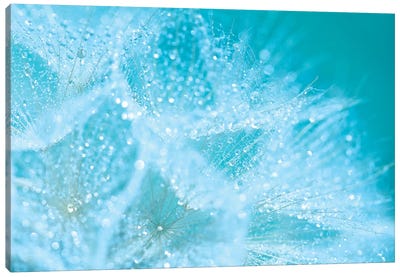 Aqua Sparkles Canvas Art Print - Ros Berryman