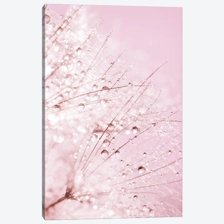 Pink Sparkles Canvas Print #RBM49} by Ros Berryman Art Print