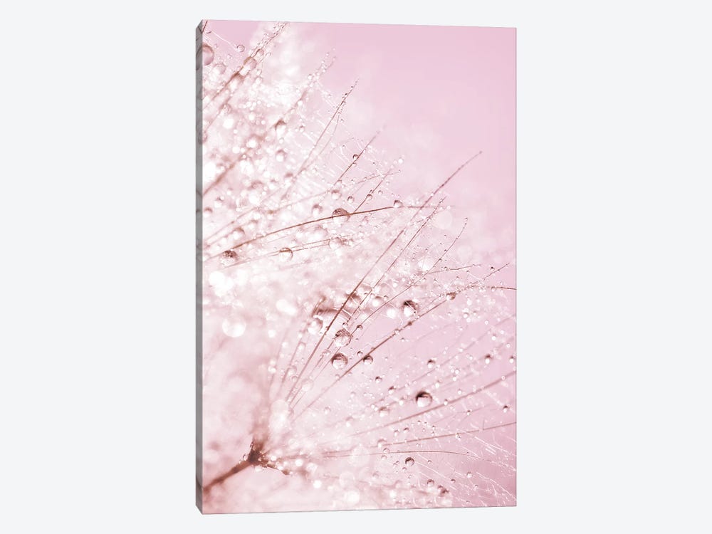 Pink Sparkles by Ros Berryman 1-piece Canvas Print