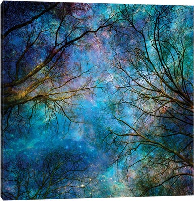 Reaching For The Stars Canvas Art Print - Composite Photography