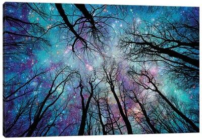 Starlight Canvas Art Print - Forest Art