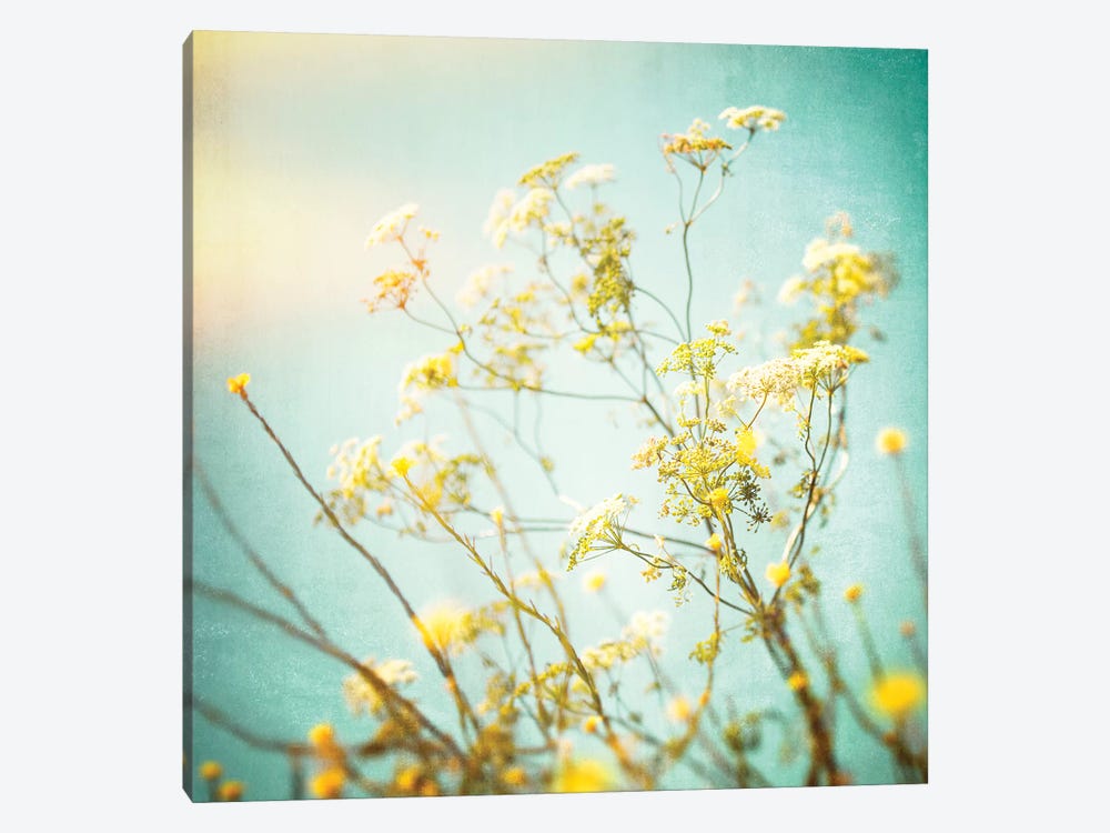 Wildflower Tangle by Ros Berryman 1-piece Canvas Wall Art