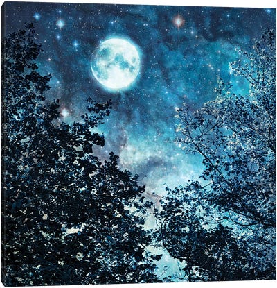 Blue Moon Canvas Art Print - Full Moon Art