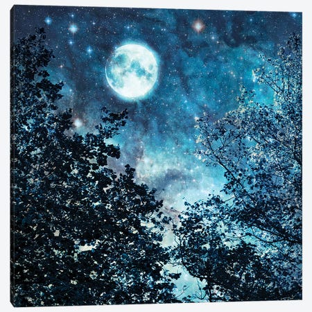 Blue Moon Canvas Print #RBM8} by Ros Berryman Canvas Wall Art