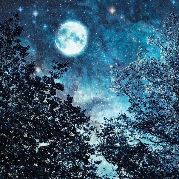 Composite Photography: Blue Moon by Ros Berryman