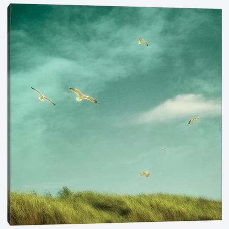 Catching The Breeze Canvas Print #RBM9} by Ros Berryman Canvas Wall Art