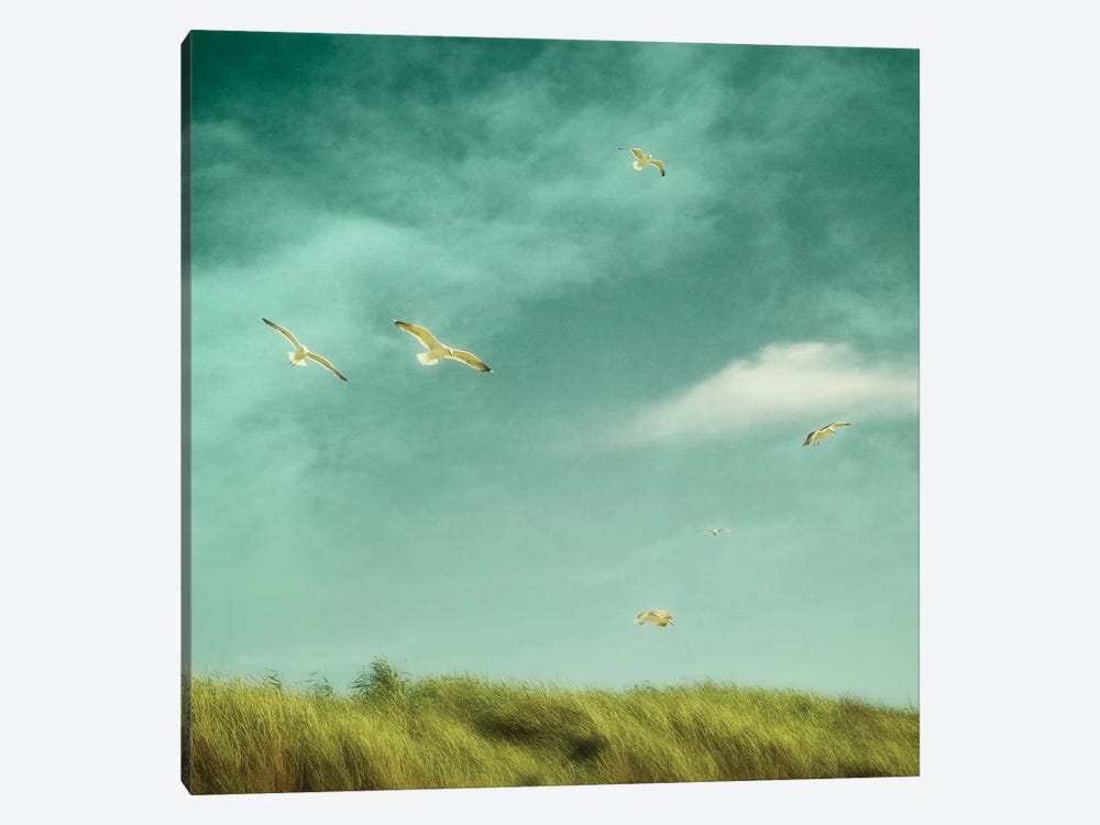 Catching The Breeze by Ros Berryman 1-piece Canvas Wall Art