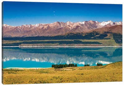 Southern Alps from Lake Pukaki, Canterbury, South Island, New Zealand Canvas Art Print - New Zealand Art