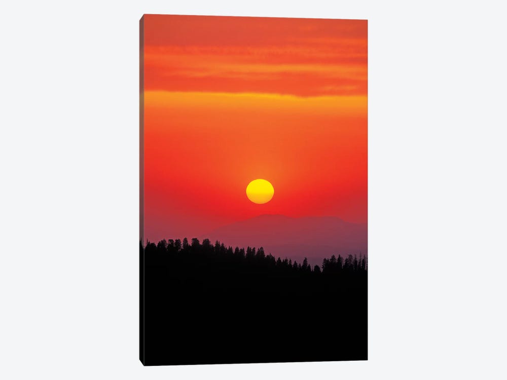 Sunset over the Sierra Nevada foothills from Moro Rock, Giant Forest, Sequoia NP, California by Russ Bishop 1-piece Canvas Art