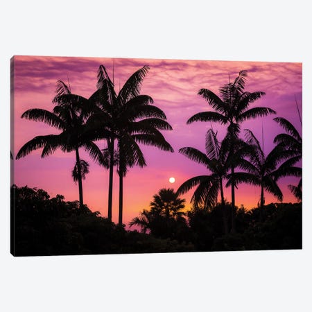 Sunset through silhouetted palm trees, Kona Coast, The Big Island, Hawaii, USA Canvas Print #RBS124} by Russ Bishop Canvas Artwork