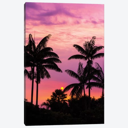 Sunset through silhouetted palm trees, Kona Coast, The Big Island, Hawaii, USA Canvas Print #RBS125} by Russ Bishop Canvas Wall Art