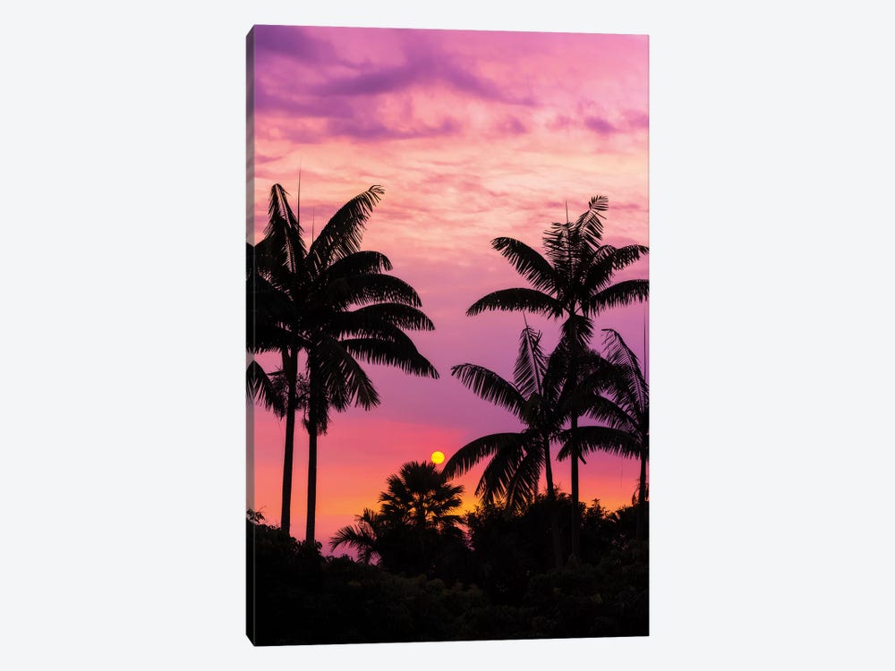 Sunset through silhouetted palm trees, Kona Coast, The Big Island, Hawaii, USA by Russ Bishop 1-piece Art Print