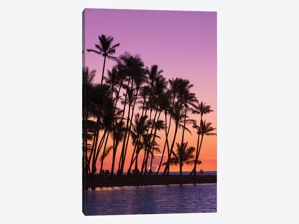 Sunset through silhouetted palms at Anaeho'omalu Bay, Kohala Coast, Big Island, Hawaii, USA by Russ Bishop 1-piece Canvas Art