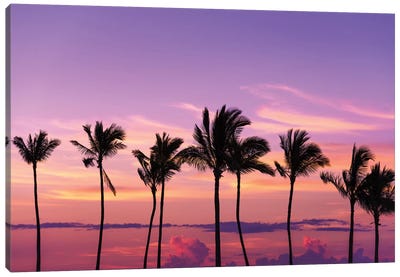 Sunset through silhouetted palms at Anaeho'omalu Bay, Kohala Coast, Big Island, Hawaii, USA Canvas Art Print - The Big Island (Island of Hawai'i)