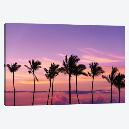 Sunset through silhouetted palms at Anaeho'omalu Bay, Kohala Coast, Big Island, Hawaii, USA Canvas Print #RBS127} by Russ Bishop Canvas Wall Art