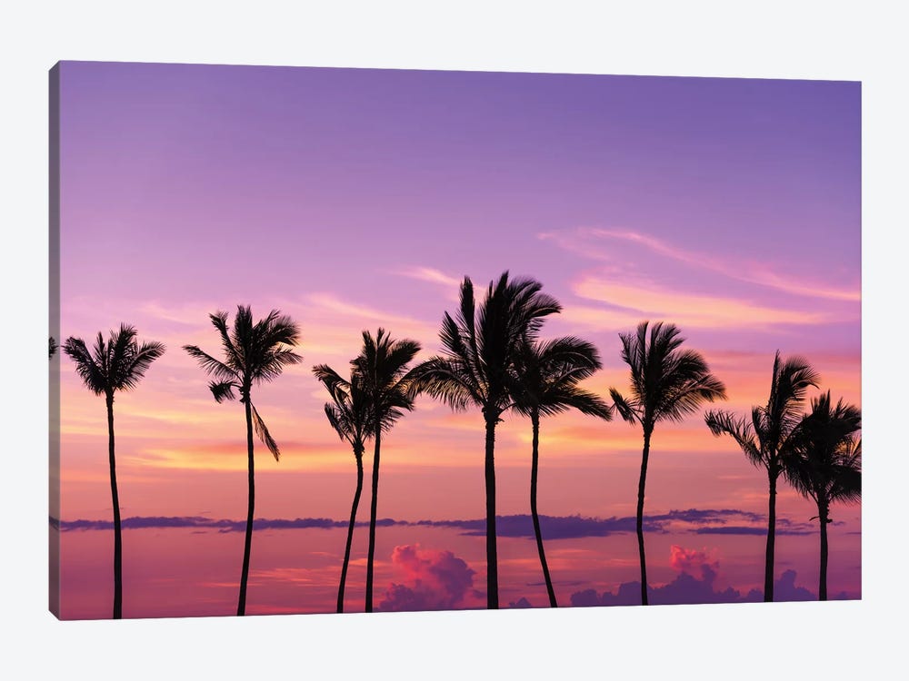Sunset through silhouetted palms at Anaeho'omalu Bay, Kohala Coast, Big Island, Hawaii, USA by Russ Bishop 1-piece Canvas Print