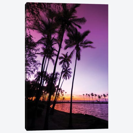 Sunset through silhouetted palms at Anaeho'omalu Bay, Kohala Coast, Big Island, Hawaii, USA Canvas Print #RBS128} by Russ Bishop Canvas Print