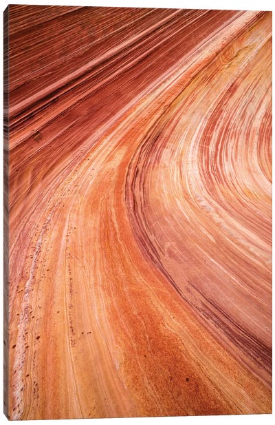 The Wave, Coyote Buttes, Paria-Vermilion Cliffs Wilderness, Arizona, USA Canvas Art Print