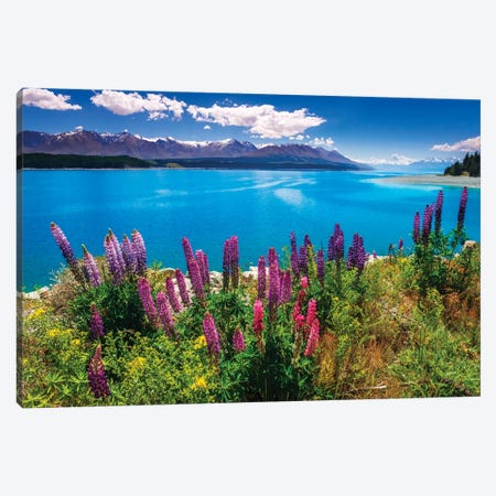 Wildflowers at Lake Pukaki in the Southern Alps, Canterbury, South Island, New Zealand Canvas Print #RBS138} by Russ Bishop Canvas Wall Art