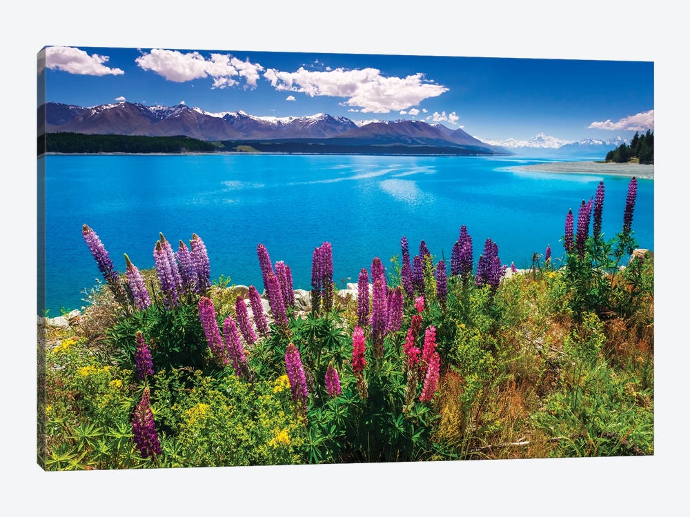 Wildflowers at Lake Pukaki in the Southern Alps, Canterbury, South Island, New Zealand by Russ Bishop 1-piece Canvas Print