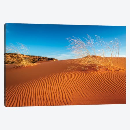 Sand dunes and grass, Coral Pink Sand Dunes State Park, Kane County, Utah, USA. Canvas Print #RBS156} by Russ Bishop Canvas Art Print