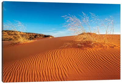 Sand dunes and grass, Coral Pink Sand Dunes State Park, Kane County, Utah, USA. Canvas Art Print
