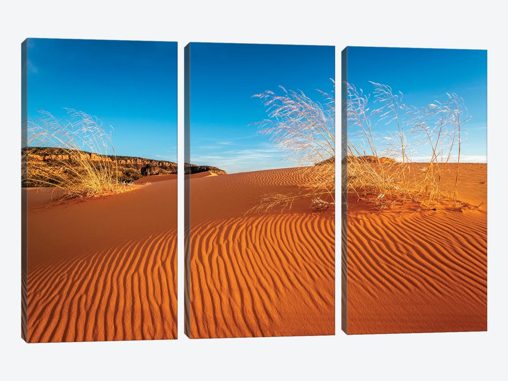 Sand dunes and grass, Coral Pink Sand Dunes State Park, Kane County, Utah, USA. by Russ Bishop 3-piece Canvas Art Print
