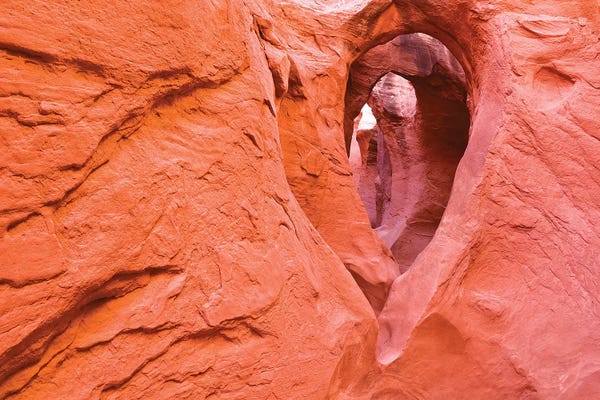 Russ Bishop: Sandstone formations in Peek-a-boo Gulch, Grand Staircase-Escalante National Monument, Utah, USA I by Russ Bishop
